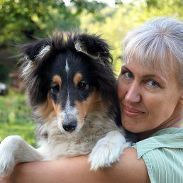 ���� �����, �����-���������, 60 ��� - ��������� 18 ���� 2015