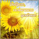 ���� ����, ����� - ��������� 10 ��� 2015 � ������ �������� ��������