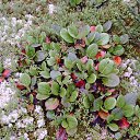 ������ ������������� ����. �� ������� ���� ����������