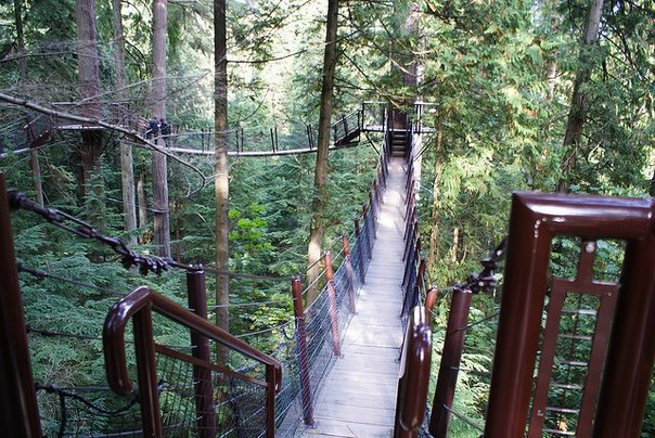     . (Capilano Suspension Bridge)    , ... - 9