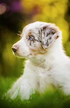  - 18  2015  14:10 - 8