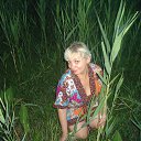 ���� �����, �������, 53 ���� - ��������� 24 ���� 2015 � ������ ���� ����������