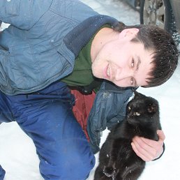 �����, ������, 44 ����