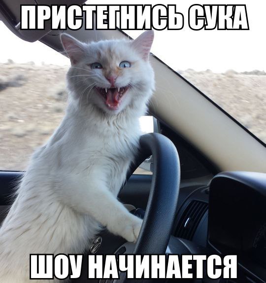       - 1  2015  16:31