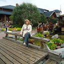 ���� ����, �����-��������� - ��������� 1 ���� 2015 � ������ ���� ����������