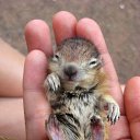 ���� ������, ��������, 53 ���� - ��������� 1 ��� 2015 � ������ ������ ��������