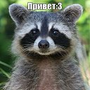    -  nick-name (- -   )    ,   ...    