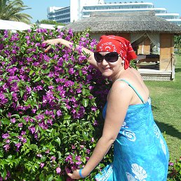 ���� �������, ����������, 44 ���� - ��������� 3 �������� 2015