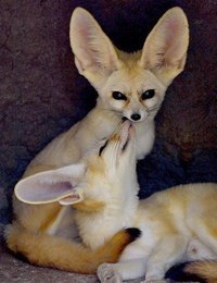 |В| Счастье есть... |В| - 9 августа 2015 в 23:22 - 3