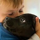 ���� �����, �����-��������� - ��������� 18 ���� 2015 � ������ ���� ����������