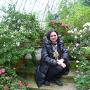 ���� �����, �����-���������, 55 ��� - ��������� 2 ���� 2015 � ������ ���� ����������