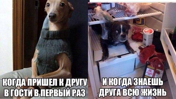    :D - 23  2015  12:43