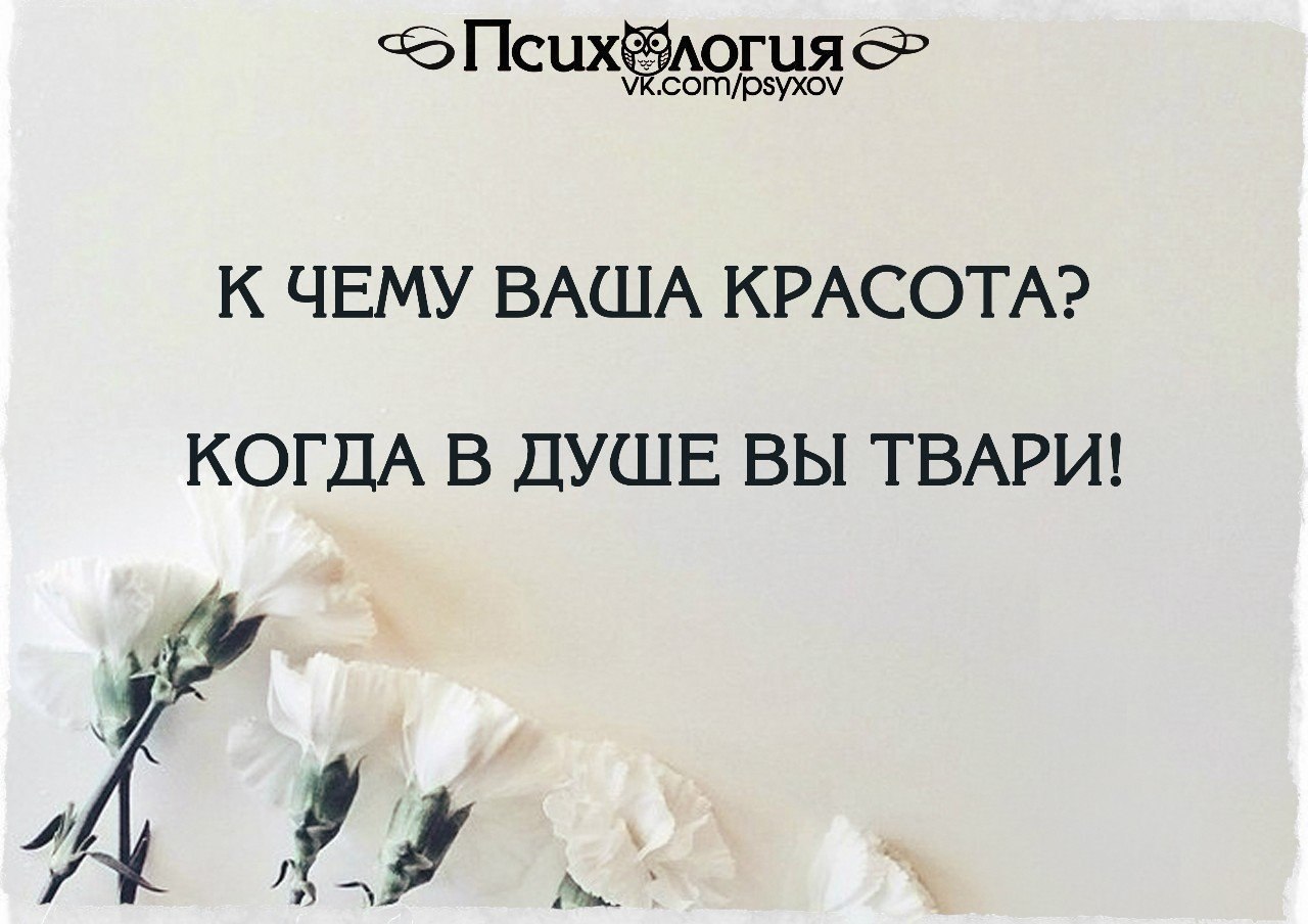  - 27  2015  20:04