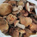  , -- -  9  2015    2015