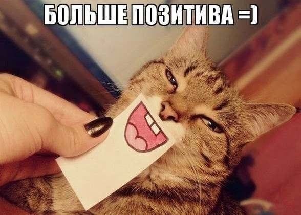    :-) - 15  2015  15:03