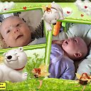 ���� �����, ���, 41 ��� - ��������� 4 ���� 2015 � ������ ���� ������� ��������
