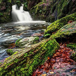 Nazim, �������, 55 ���