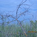 ���� ���������, �����������, 69 ��� - ��������� 20 ���� 2015 � ������ ����������� ����.������� ���.������������ �����, ��������������� ���.���� 2015�