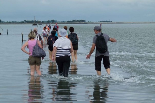 ,      .   (Passage du Gois) -  ,  ... - 6