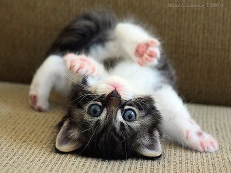          -     " "  -   : https://fotostrana.ru/away?to=/sl/9x2 - 9  2015  09:38