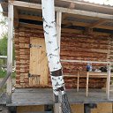 ���� ������, ���������, 45 ��� - ��������� 30 ���� 2015 � ������ ��������