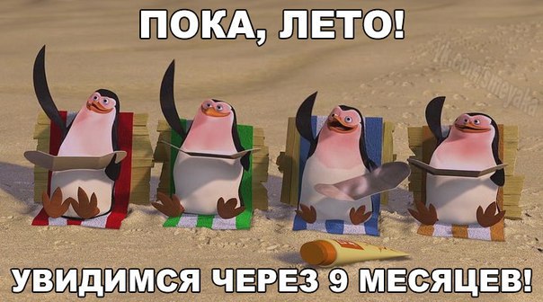    :D - 6  2015  22:55