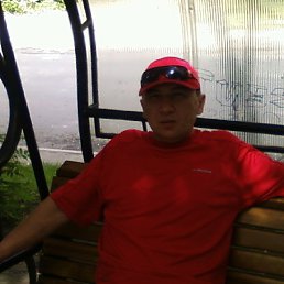 Edil, , 51 