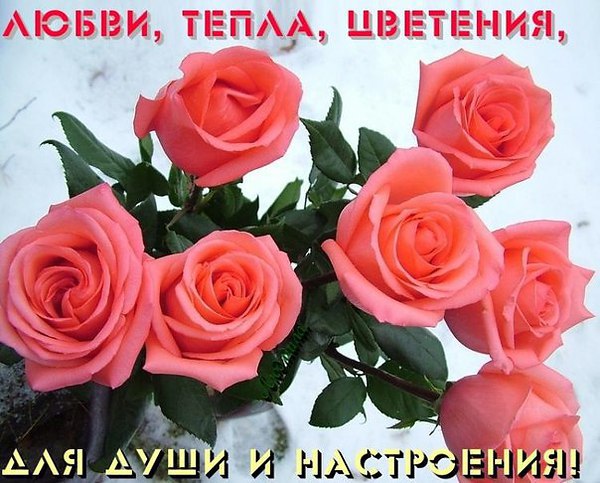   - 6  2015  23:57