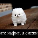  Step, , 42  -  2  2015    