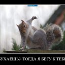 ���� ����, ���������, 42 ���� - ��������� 1 ������� 2015 � ������ ���-��