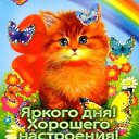 ���� ������, ������ ������� - ��������� 10 ���� 2015 � ������ ������ ��������