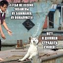 ���� �����, ���� - ��������� 27 ��� 2015 � ������ ������ ��������