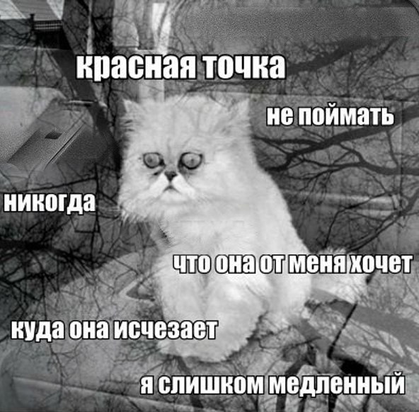    :D - 24  2015  10:19 - 4