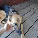 ���� �������, ���������, 40 ��� - ��������� 6 ���� 2015 � ������ ������ ��������