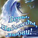 ���� ����, �����, 41 ��� - ��������� 16 �������� 2015 � ������ ������ ��������