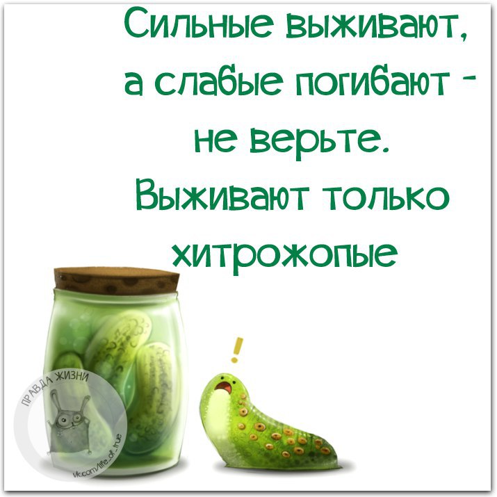 ������ ����� - 18 �������� 2015 � 18:18
