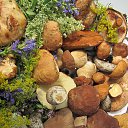  , -- -  20  2015    2015