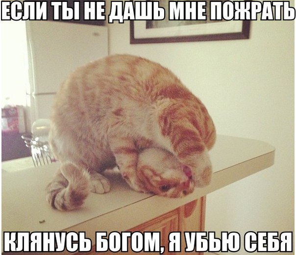    - 8  2015  14:16