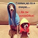 ���� ����, ������-��-����, 53 ���� - ��������� 9 ��� 2015 � ������ ���� ����������