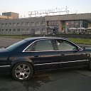 ���� ��������, �����-���������, 46 ��� - ��������� 10 ���� 2015 � ������ ���� ����������