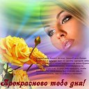 ���� �������, ������ - ��������� 23 ������� 2015 � ������ ������ ��������