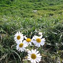 ��������� �� ������� ������������ �������