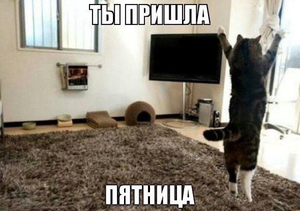       - 1  2015  13:03