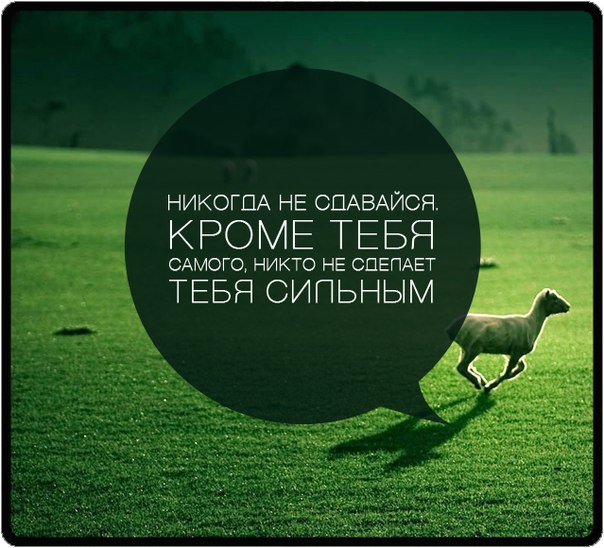  - 11  2015  16:46