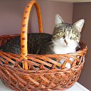 ���� �������� ���������, �����������, 63 ���� - ��������� 16 ������� 2015 � ������ �����