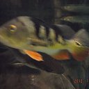 ���� �������, ������ - ��������� 23 ������ 2015 � ������ ���� ����������