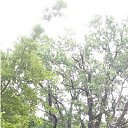 ���� ������, �������, 38 ��� - ��������� 24 ������� 2015 � ������ ���� ����������