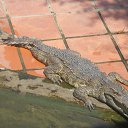    -  ,  -  30  2015   .  2015.   .  3-.