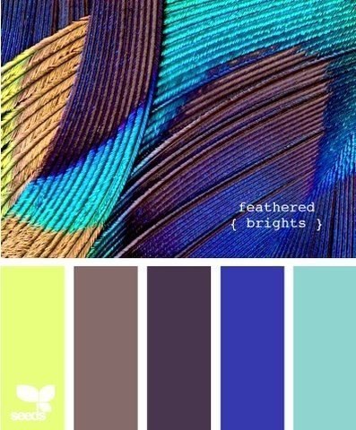 Design_color - 3