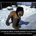 ���� �������, ��������� - ��������� 20 ���� 2015 � ������ ������ ��������